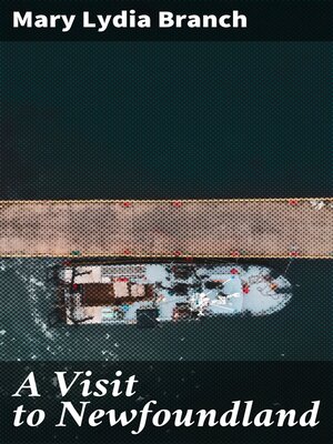cover image of A Visit to Newfoundland